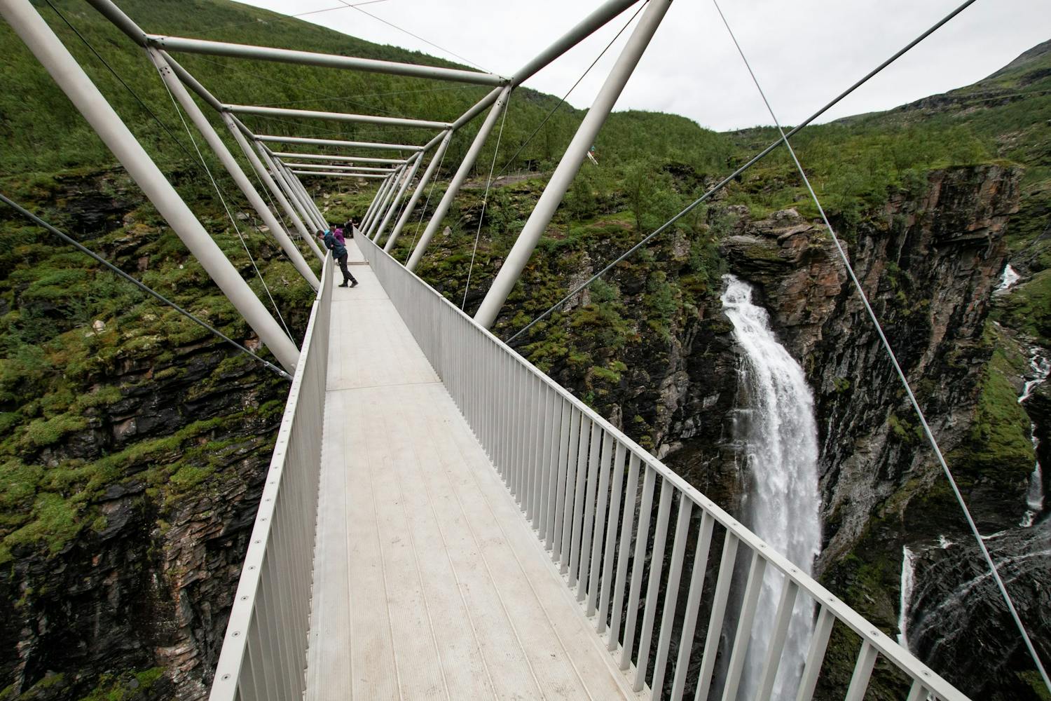 shutterstock 1591827295 oFH1W Gorsabron.